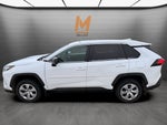 2023 Toyota RAV4 LE AWD